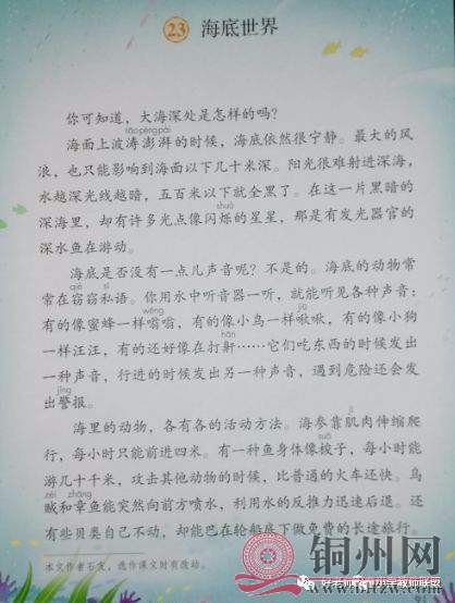 b6ec1d2f5924c0ba16c5d1c09675c1c4.jpg