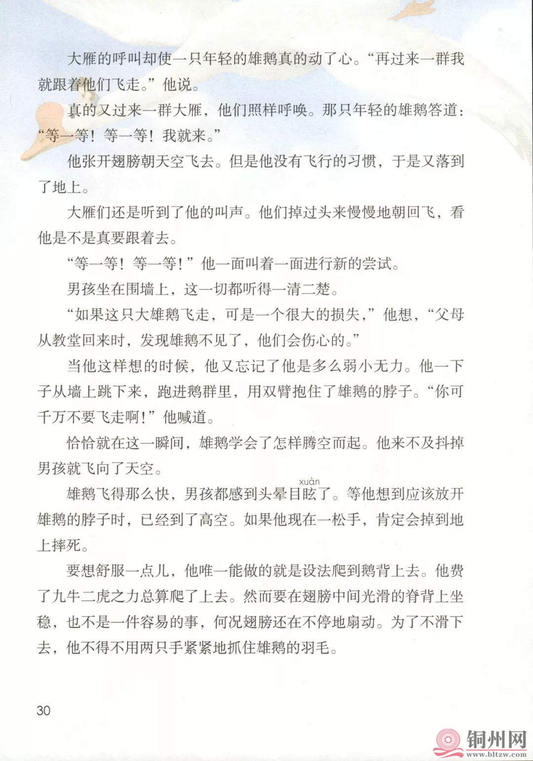 32cbbb067089a1a8cb2d62e967f74cec.jpg