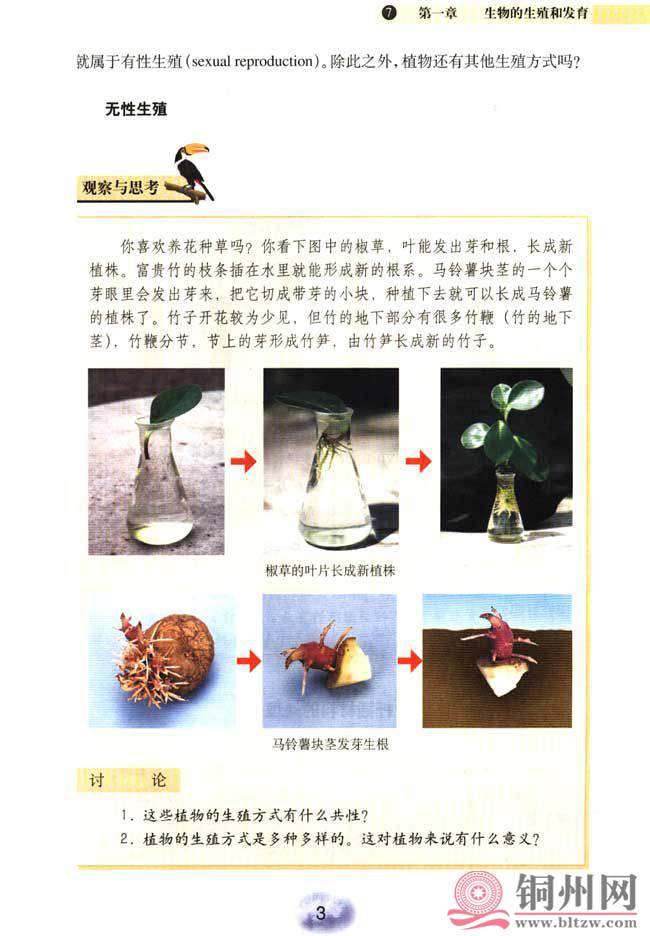 4c106d0dafa3d8157217e54a1c7600eb.jpg