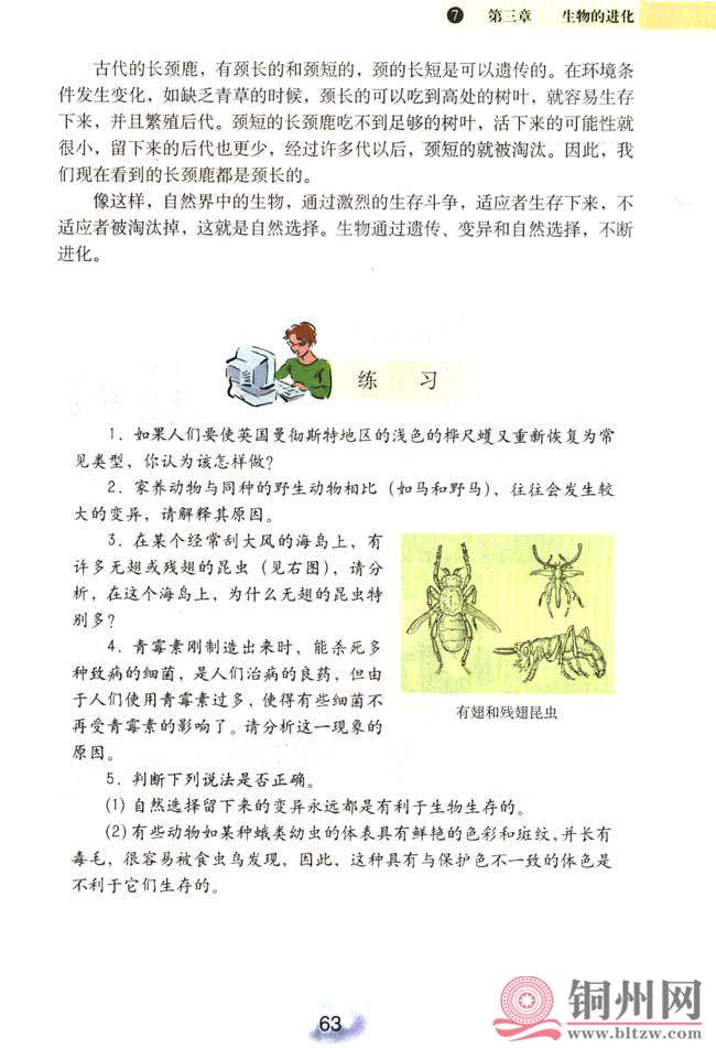 24dcd474da4bb8e0aff2edda28b64d93.jpg
