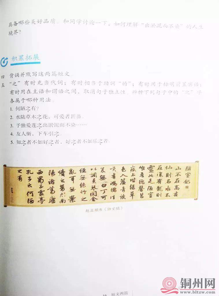 42cfdb7f63863230ae1287b3acaf5b91.jpg