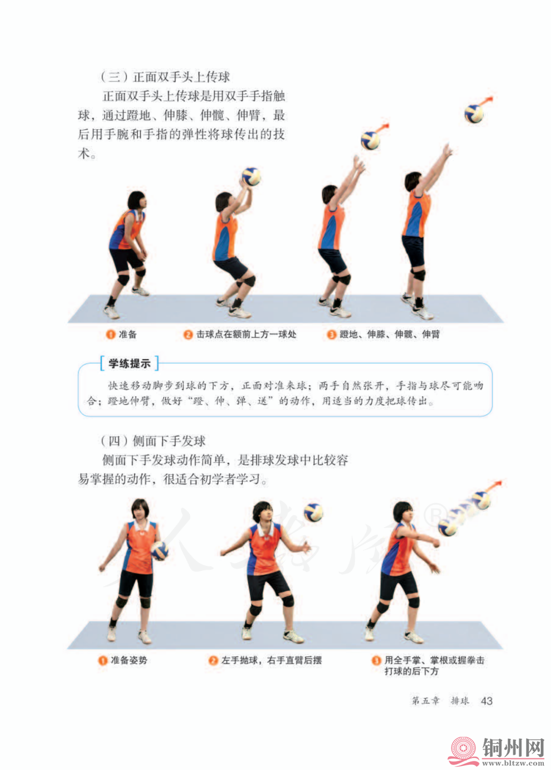 c1832d65bfe6f042148b8af574ef5e1b.png