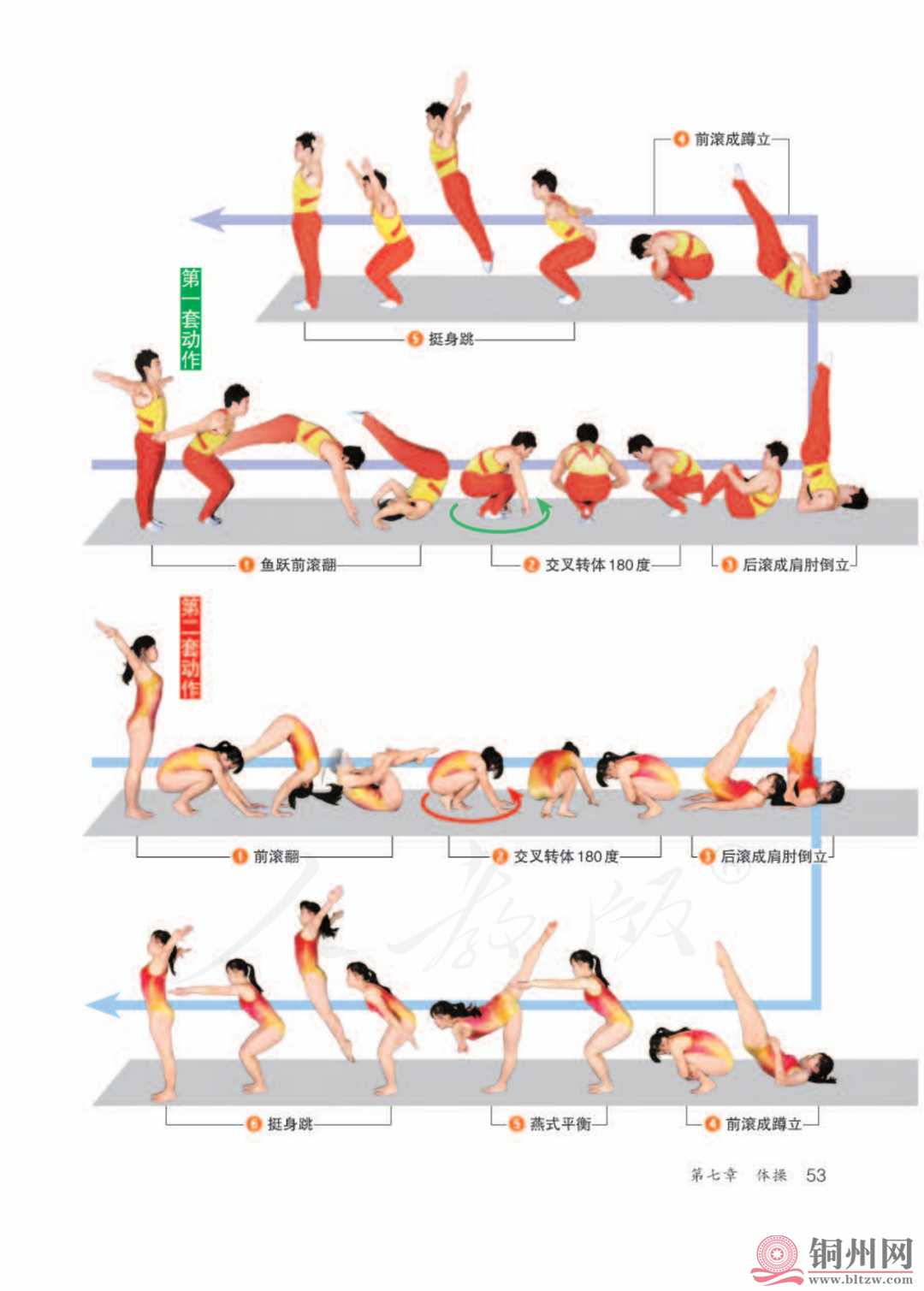 fd91928e136d33cfbd52a37e38d9970f.png