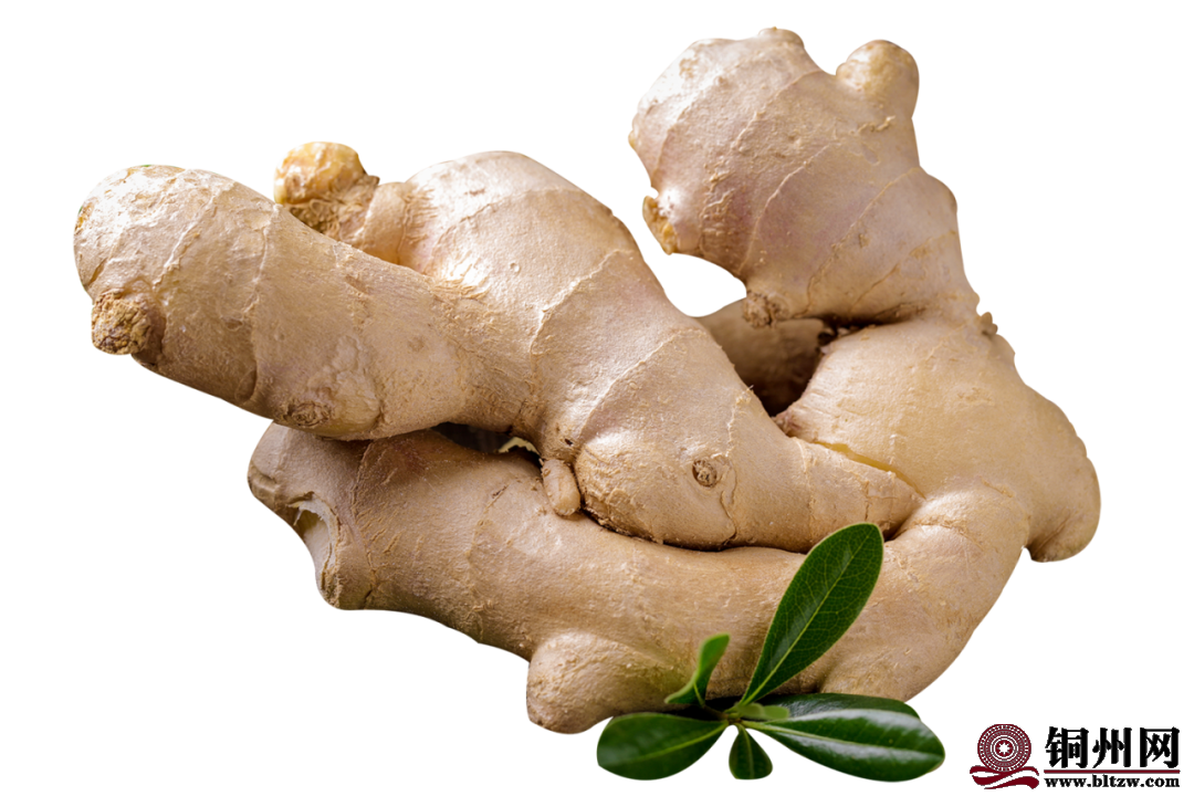 191c6ef03e66586c47bc3be5406d8e6a.png 191c6ef03e66586c47bc3be5406d8e6a.png