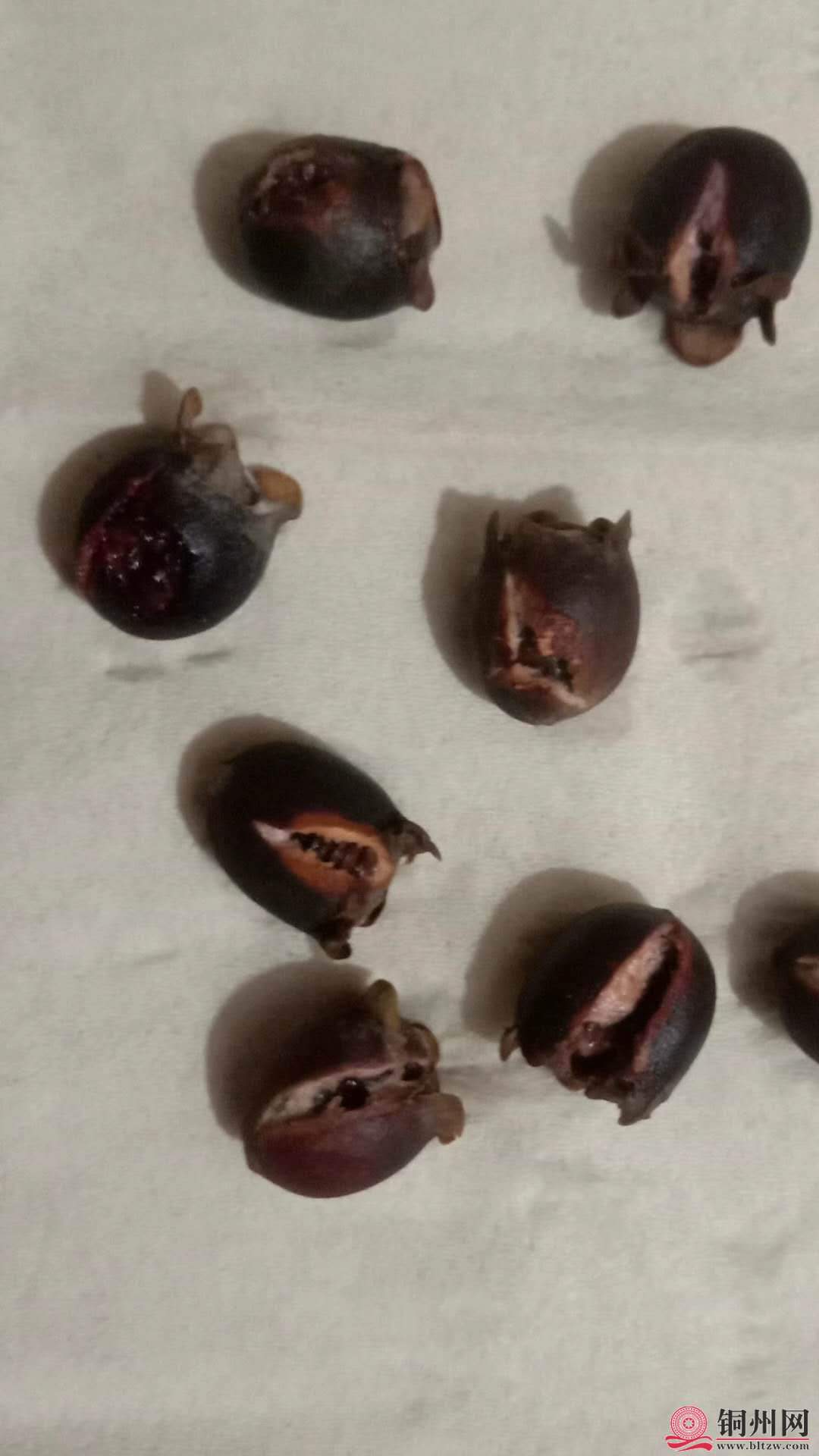 wechat_upload16011410405f6f79301319b