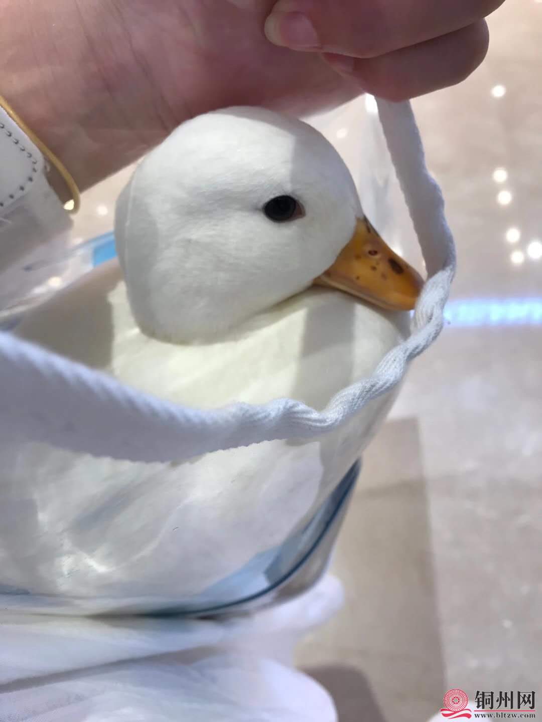 wechat_upload16015696295f76035d0a6ff