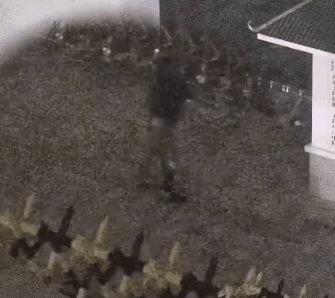 053f9b11fce3e3b15dd1b5f70b468d4c.gif