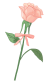 b20c6649b955075e6f428b71aecbc983.gif