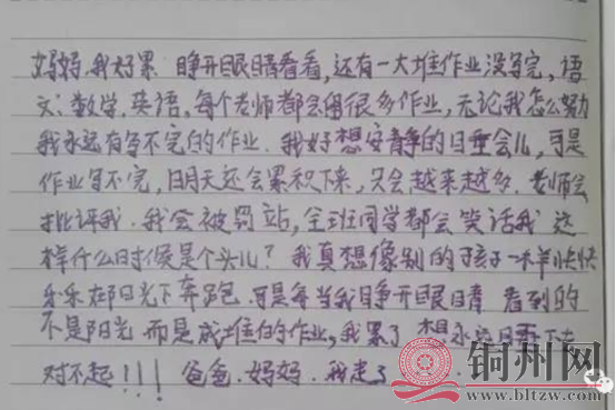 cc87da3068eea0731bc40e951266bf61.png