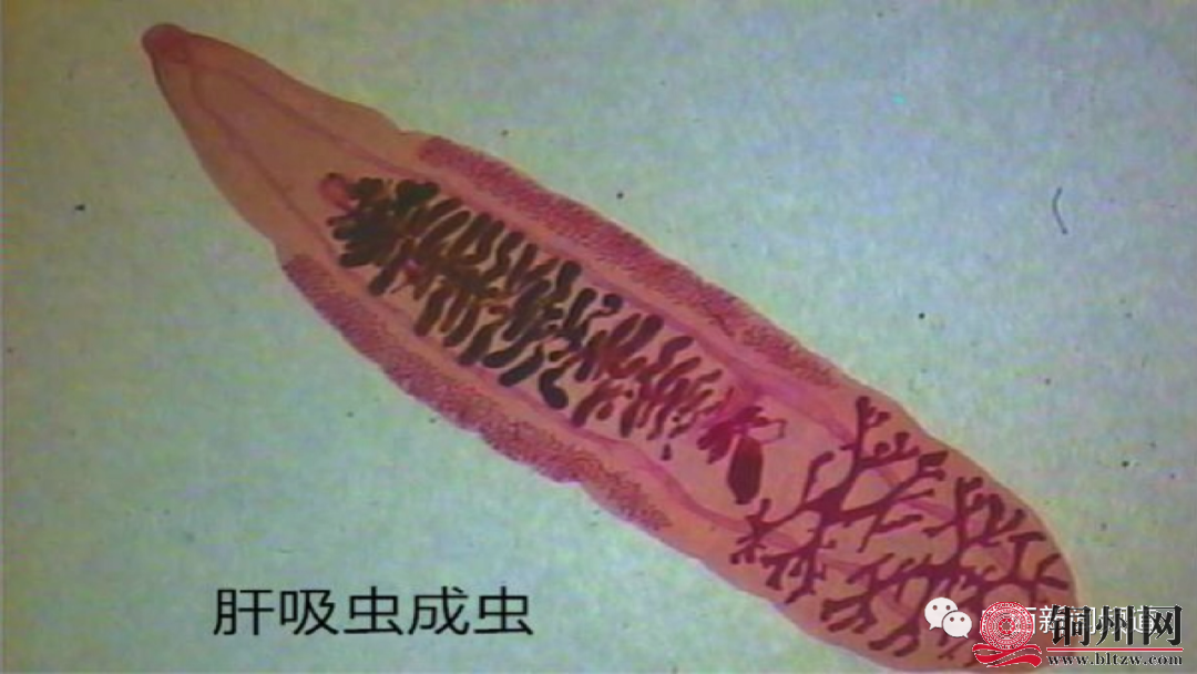 0d3c8bbb1e0ab363b9af76c6890a9f4b.png