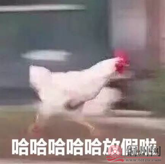 76f083a7a432c853446e4b8301e953c1.png