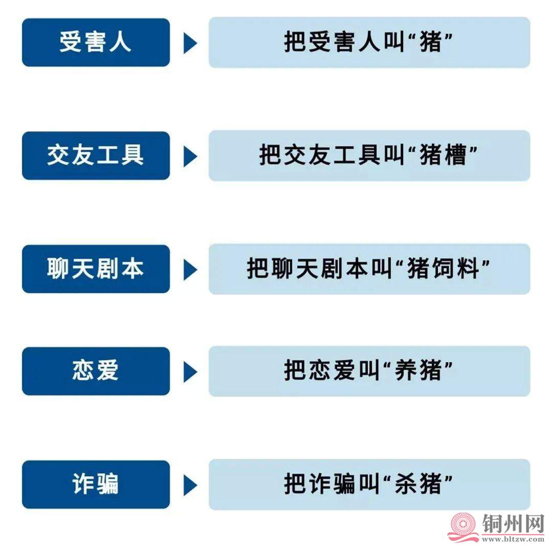 960a304e251f95ca014fb1818f35f3396709527c.jpg