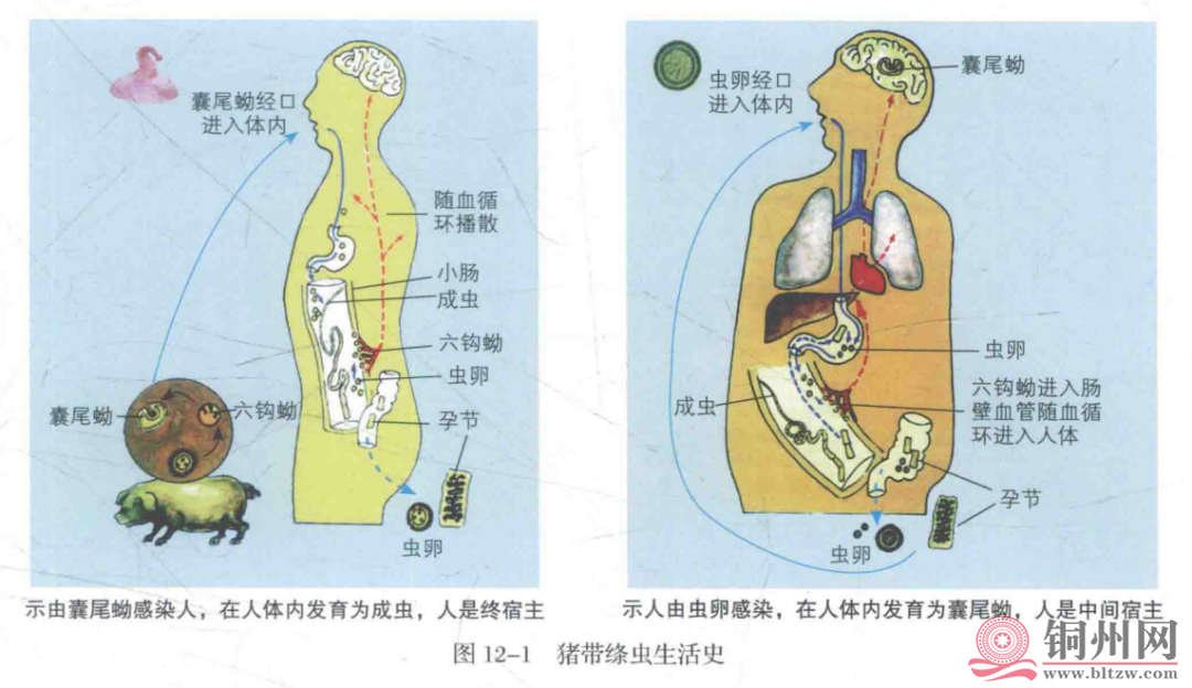 01a537499b66ceac68d5ade5f36acc72.png