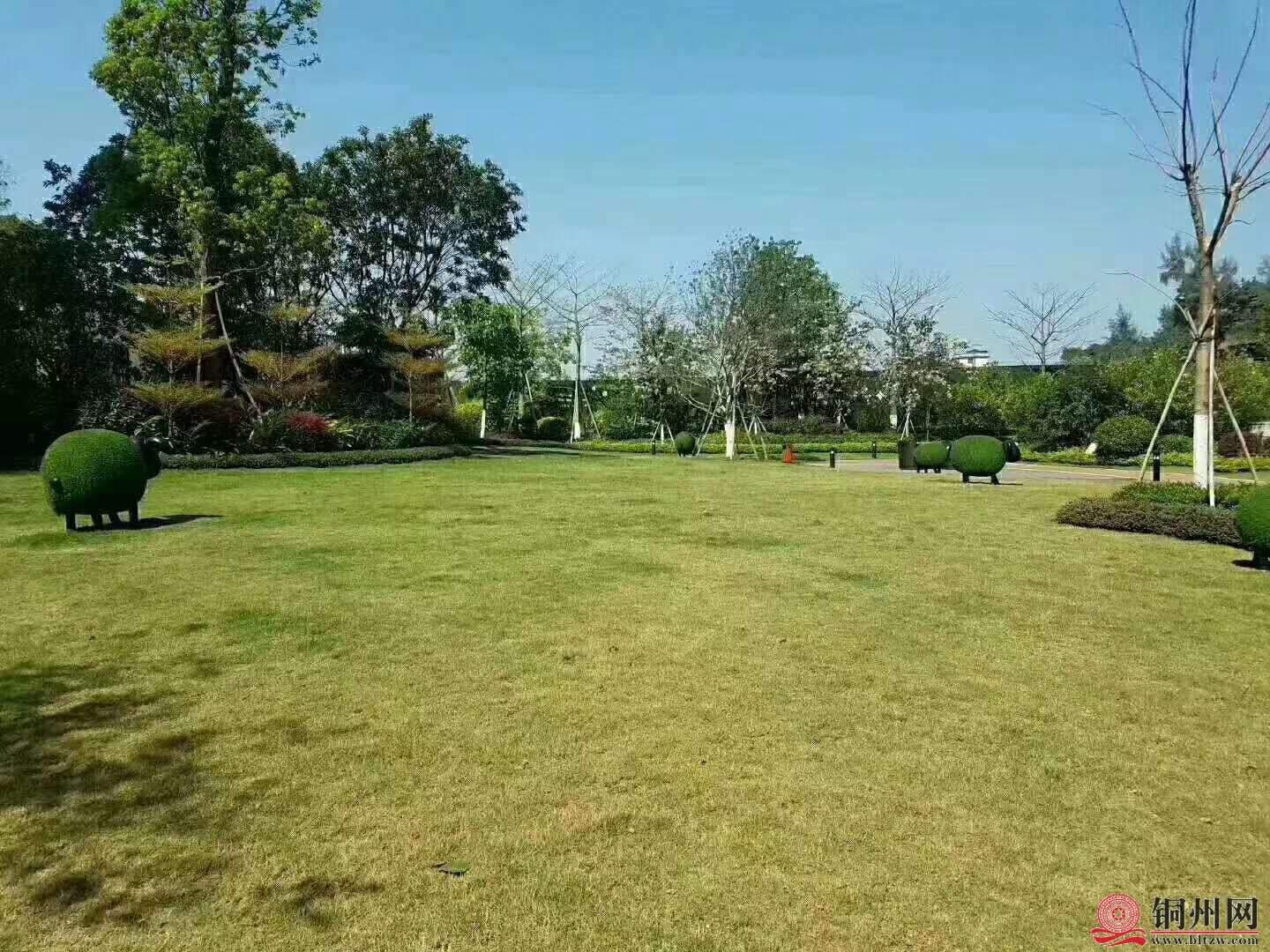 wechat_upload16051943085fad524491f27
