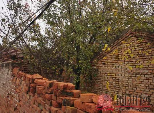 640 (1).webp (1).jpg