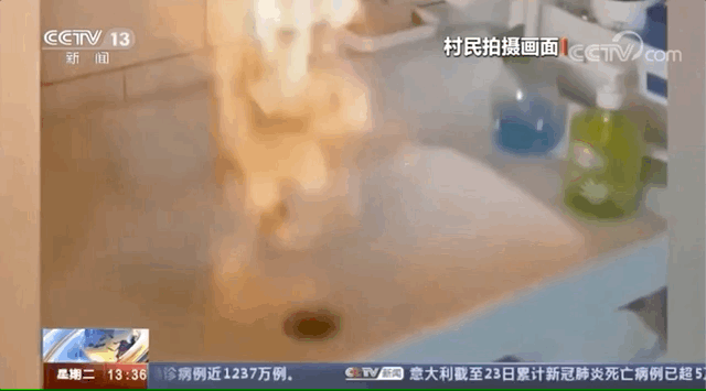 42781bebf7cd3a95c9f66bb70e2509d7.gif