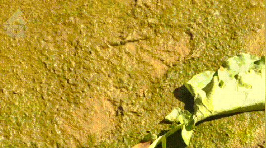 2c9c1df577141dac59e458d47c49fd76.gif