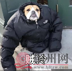 3fe44f36f7c9e48e033ba5a38f613964.png