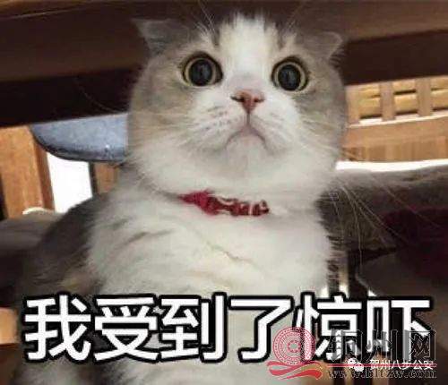 b823af0479bdeee81a0b10502c3b1c99.jpg