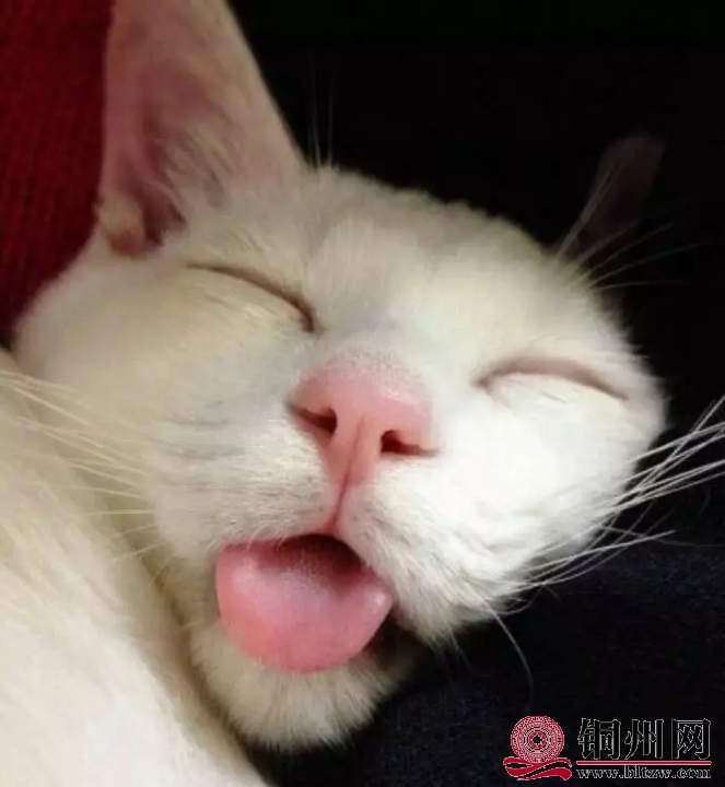 wechat_upload16076254155fd26ac7cf07a