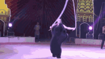 4b91d06ae0bce1cff3cd88c46404cac4.gif