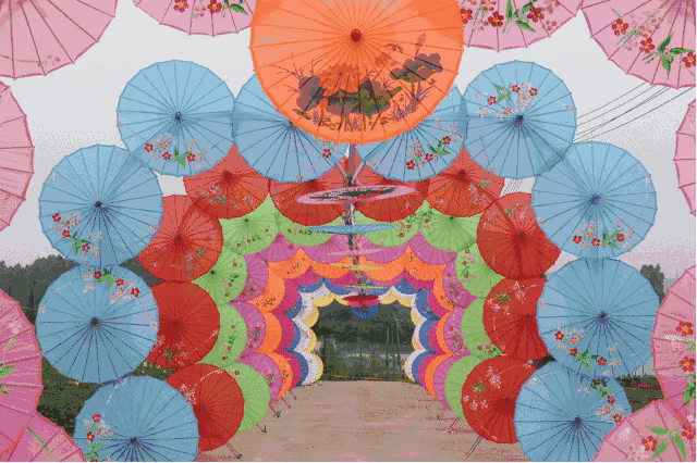 bff6db298eaeb45bbe3884e0023c1350.gif