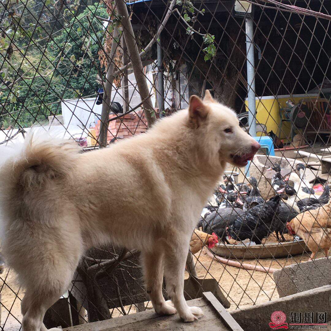 wechat_upload16086904065fe2aae643af5