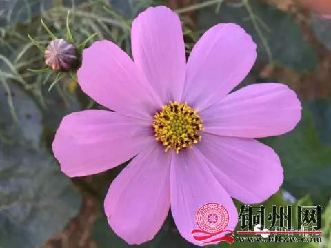wechat_upload16094498235fee415f16a38