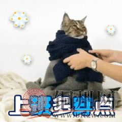 fd1926b119ec3c9472d8be16bc58f87c.png