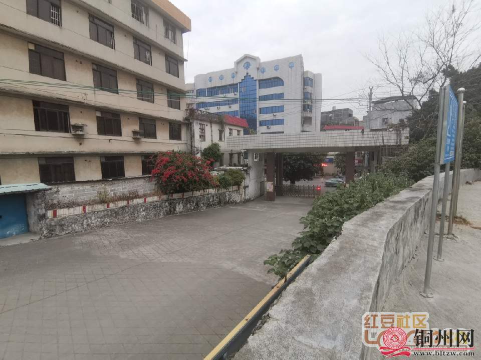 75023_10978d94fa6051dcceea36a6233d47ce.jpg