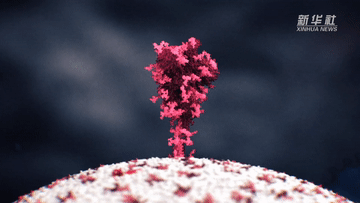 b1e8cdd39f5b33ecd007ee1a42461250.gif