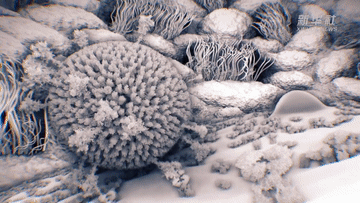 ff1eefda1d2db1525256ee1f5e48927e.gif
