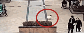 04d943be-9726-4791-a3cb-500fa8631cf6.gif
