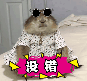 c9b4abf935e329b1e678159d86c54502.gif