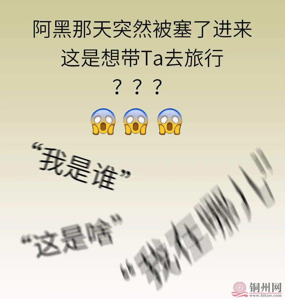 e8ff6037242c44fb30e2f7d544dcb2f8.jpg