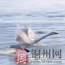 9425ff060cf3e5cdd95abeb777b42dc2.jpg