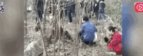 70b60885-a296-4755-9d07-c98eee0304c8.gif