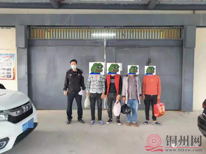4cf8c92256d85ac378338b470c531531.jpg