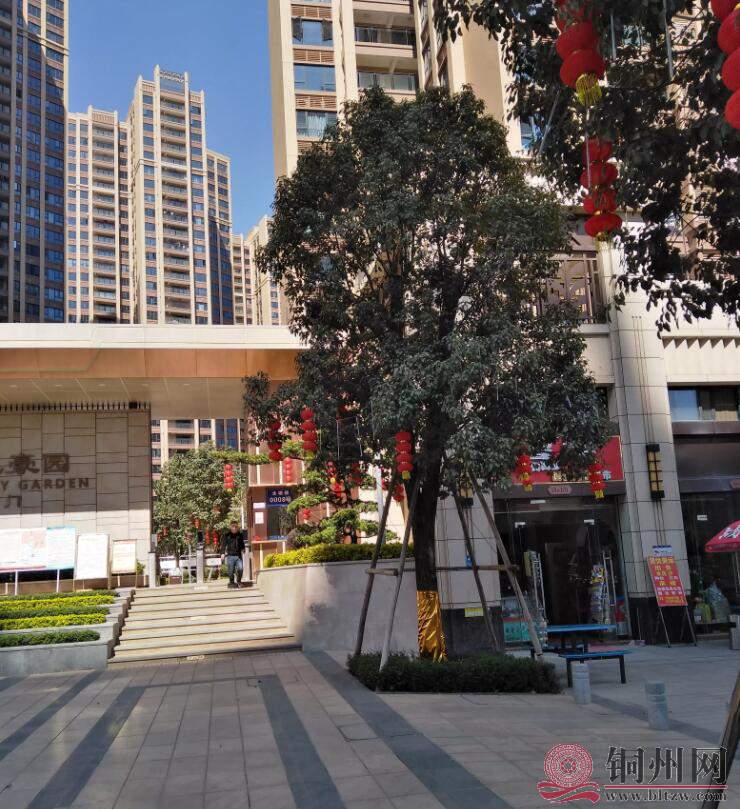 QQ截图20210208110558.jpg