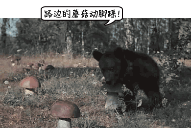 2d619f41cdb8644b14ef361ed910ecc2.gif