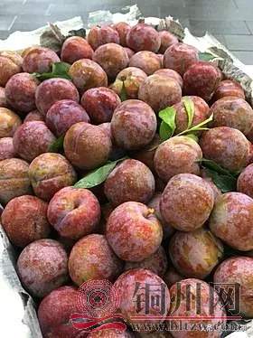 710e8abd9dca400dafeec98e18ad7baa~tplv-obj_280_374.webp.jpg