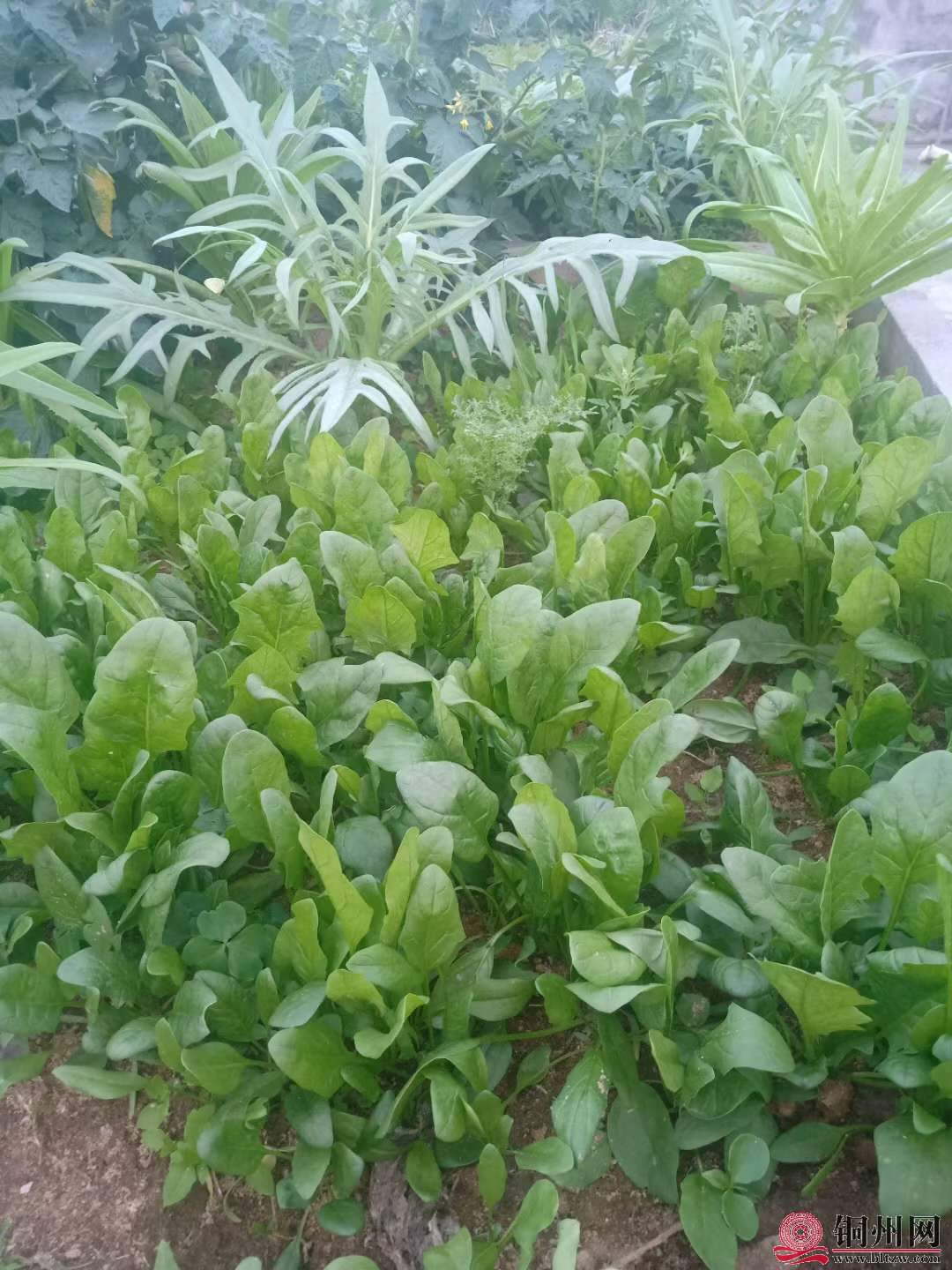 wechat_upload16161142786053f26696923