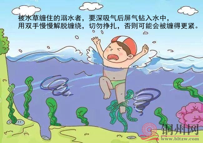 7f27084c1a183968cfb356f75ff291b9.png