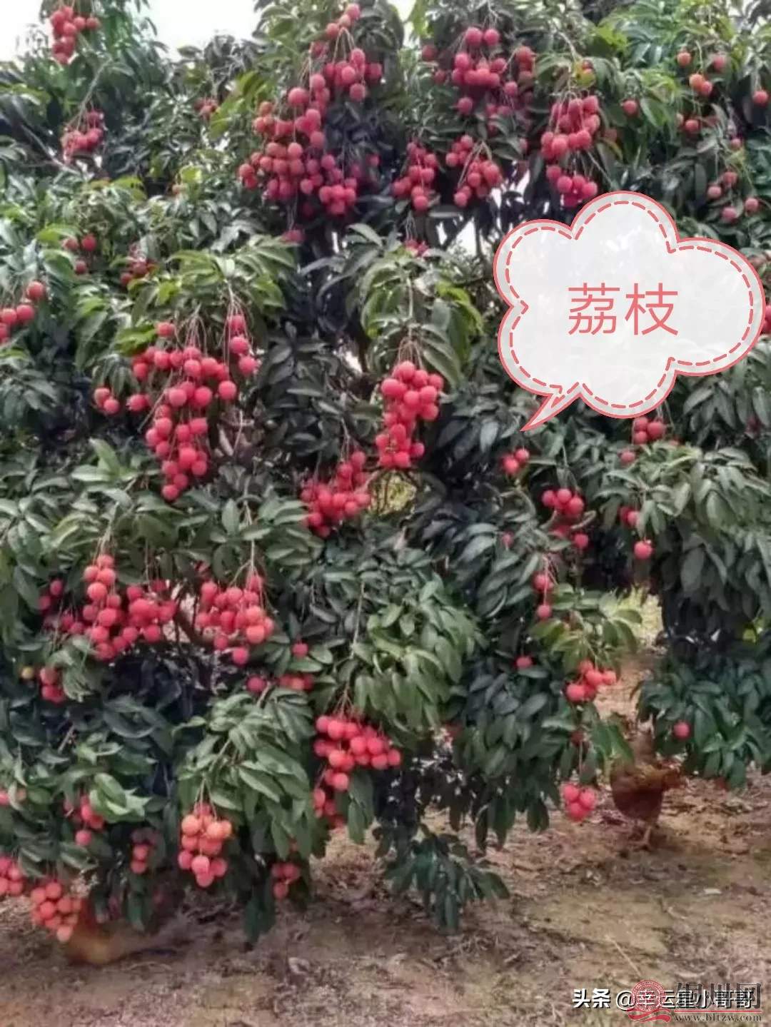 8ccf835e4f5849be90e8c5e837b2fed7~tplv-obj_1080_1439.webp.jpg