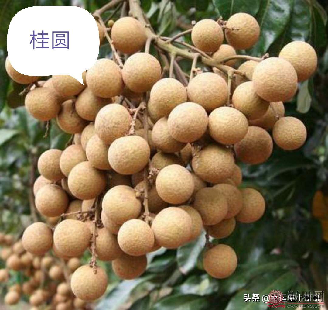 36a1d4702cf84dc182aed537fe2214e3~tplv-obj_1080_1020.jpg