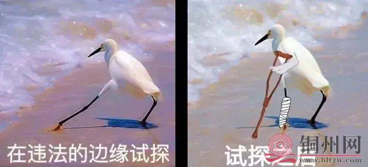 391de7e8e93e3af39b6102c18f6c5aeb.jpg