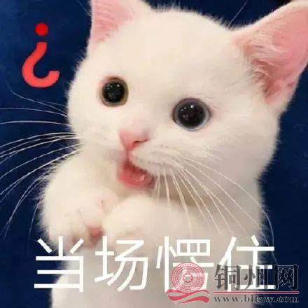 4417cadb292504d29657ac1ced179c86.jpg