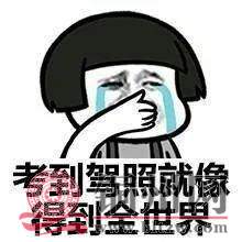 27ca8a64b673e8d21c542782ed2be311.jpg