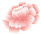 3991a15503936b6a2917111b6dd593a9.png