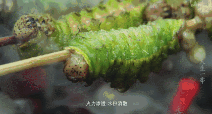 0f662e132228a96083db702769c0a08b.gif